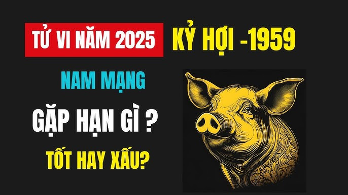 Diễn biến vận hạn tuổi Kỷ Hợi về công việc, tài lộc năm 2025