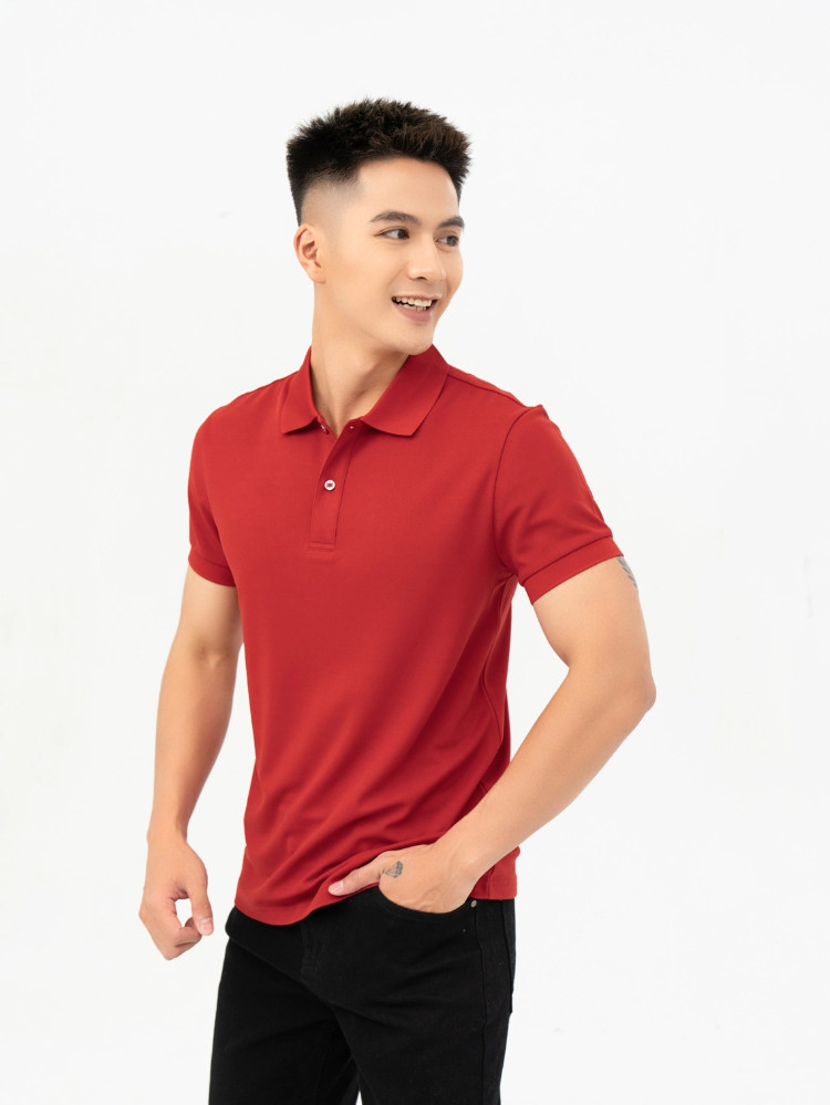 Đinh Hợi hợp màu đỏ