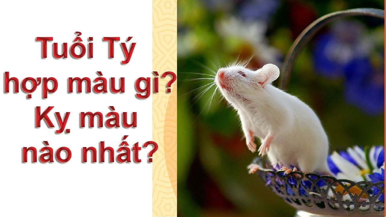 Đồ vật phong thủy cho Bính Tý 1996