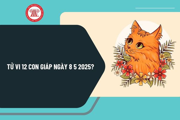 Dự báo tử vi 12 con giáp ngày 8/5/2025 và lời khuyên tâm linh