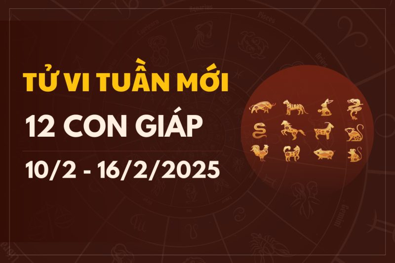 Dự báo tử vi 16/2/2025 cho 12 con giáp chi tiết