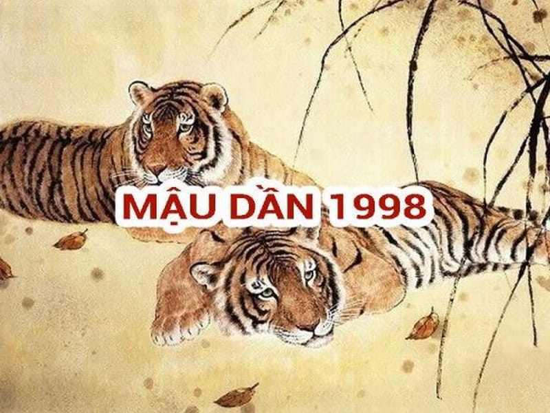 Dự báo vận trình tổng thể của nữ Mậu Dần 1998 qua ba giai đoạn trong năm 2026