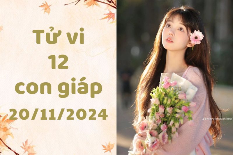 Dự đoán vận mệnh theo tử vi ngày 20/11/2024