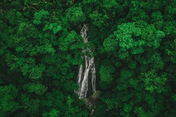 Gam màu xanh rừng tươi mát, màu chủ đạo của cung Kim Ngưu, biểu trưng cho sự ổn định và sinh trưởng