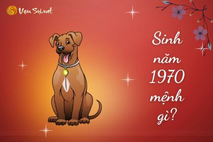 Giải đáp mệnh tuổi theo tử vi vạn sự net cho người sinh năm 1970