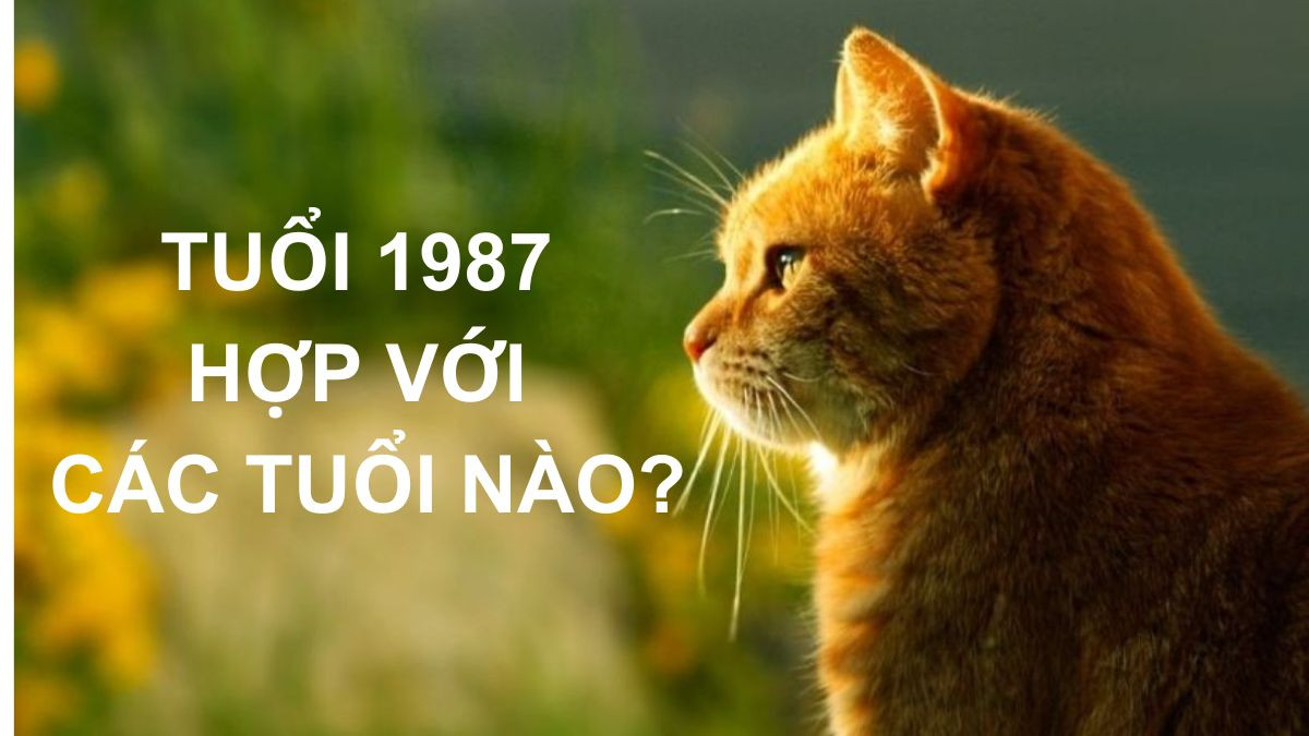 Hình ảnh các con giáp hợp nhau, biểu thị sự hòa hợp trong công việc và tình duyên của 1987