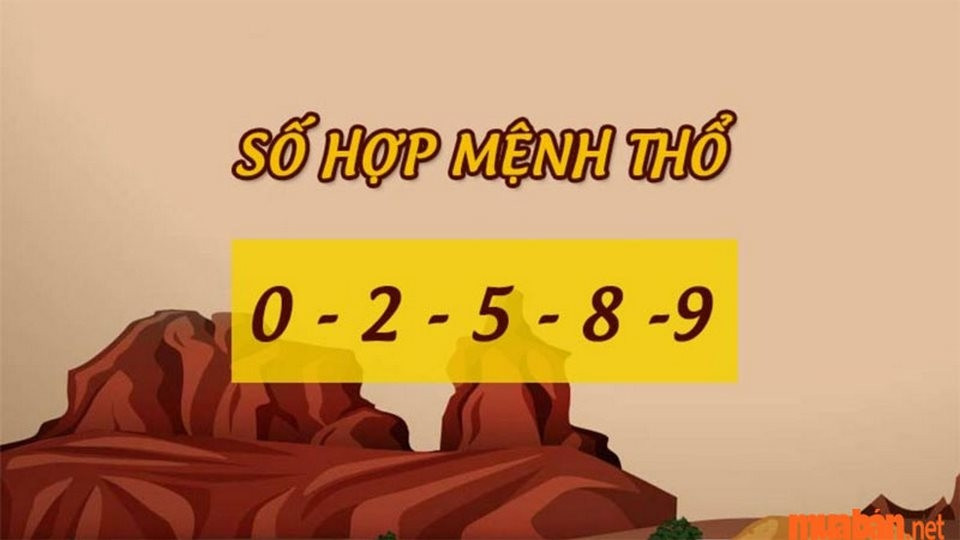 Hình ảnh các con số phong thủy mang lại tài lộc cho Bính Tuất 2006