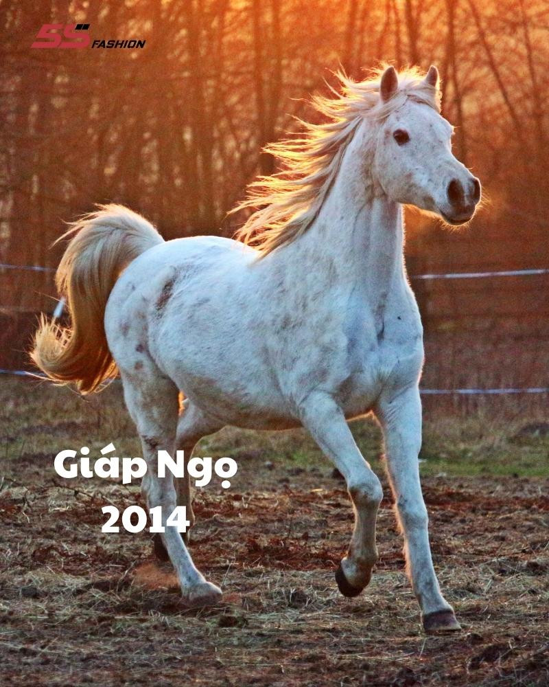 Hình ảnh đại diện cho người tuổi Giáp Ngọ sinh năm 2014 mệnh gì cung gì