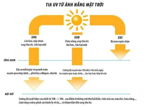 Hình ảnh minh họa các loại tia UV UVC, UVA, UVB có trong ánh nắng mặt trời.
