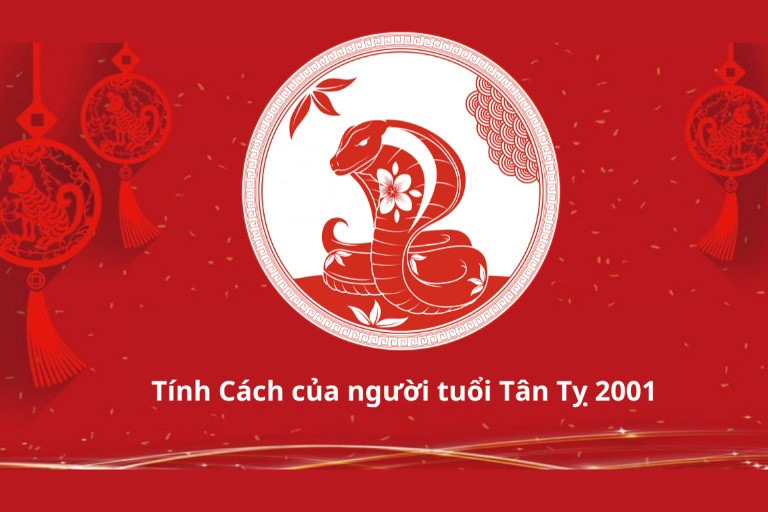 Hình ảnh minh họa tính cách người sinh 2001 là mệnh gì