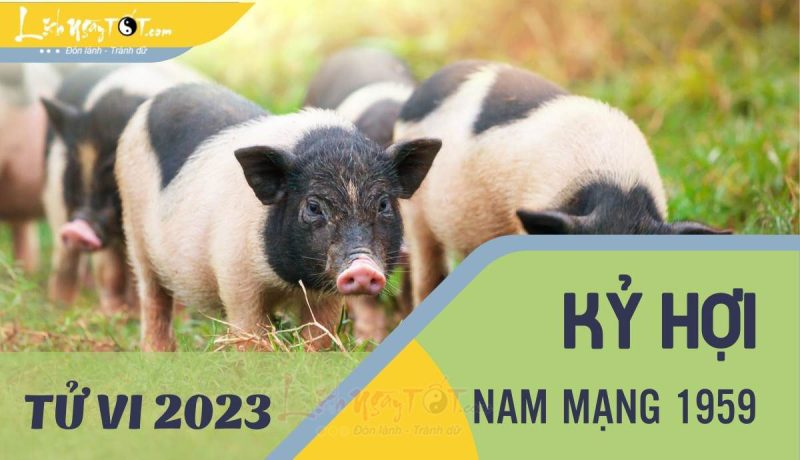 Hình ảnh minh họa tổng quan tử vi tuổi Kỷ Hợi 1959 nam mạng trong năm Quý Mão 2023