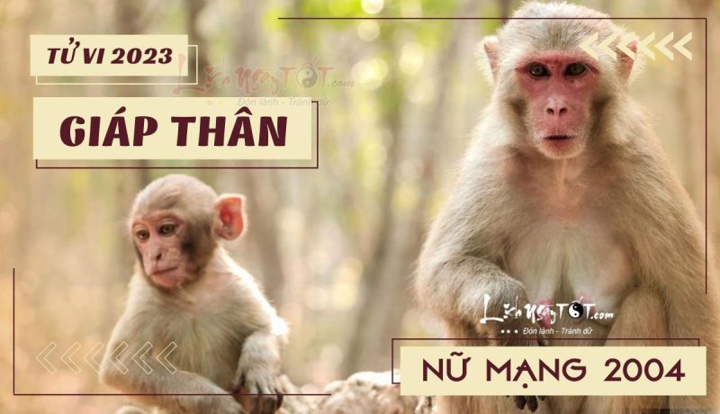 Hình ảnh minh họa tử vi tuổi Thân 2004 nữ mạng trong năm 2023 với các yếu tố phong thủy