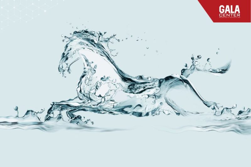 Hình ảnh minh họa tuổi Bính Ngọ 2026 và các cặp đôi xem ngày cưới theo tuổi vợ chồng