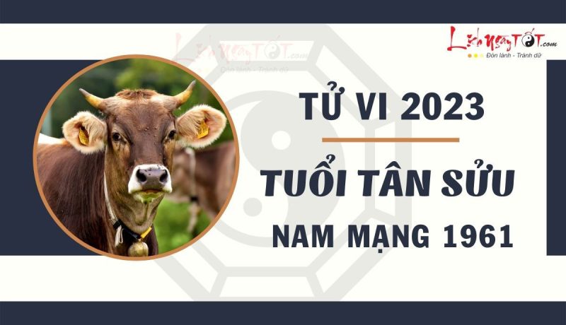 Hình ảnh minh họa về tử vi tuổi Tân Sửu 1961 nam mạng năm 2023