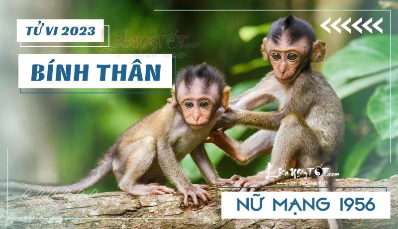 Hình ảnh minh họa về vận mệnh tử vi tuổi Bính Thân 1956 nữ mạng trong năm 2023 Quý Mão