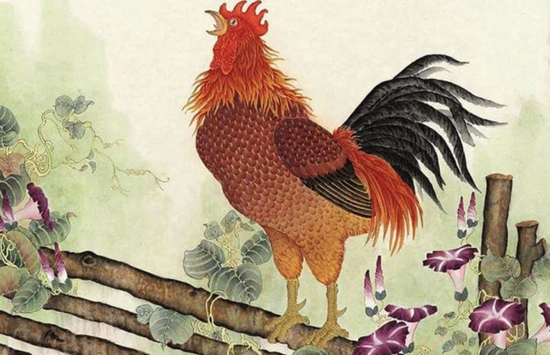 Hình ảnh minh họa về vận mệnh tử vi tuổi Đinh Dậu 2017 nam mạng