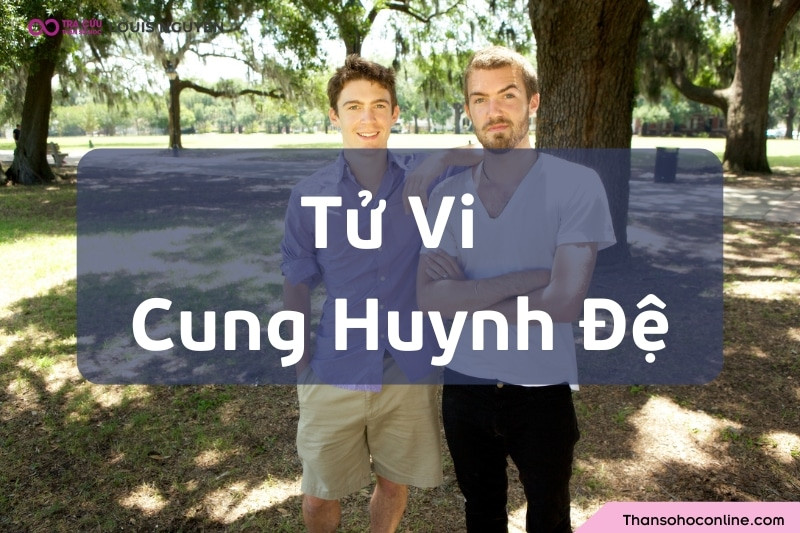 Hình ảnh minh họa ý nghĩa sao tử vi cung huynh đệ tốt đẹp trong mối quan hệ gia đình