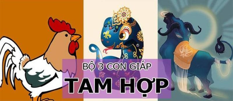 Hình ảnh một cặp đôi đang trò chuyện vui vẻ, tượng trưng cho mối quan hệ hòa hợp của người tuổi Sửu với tuổi hợp