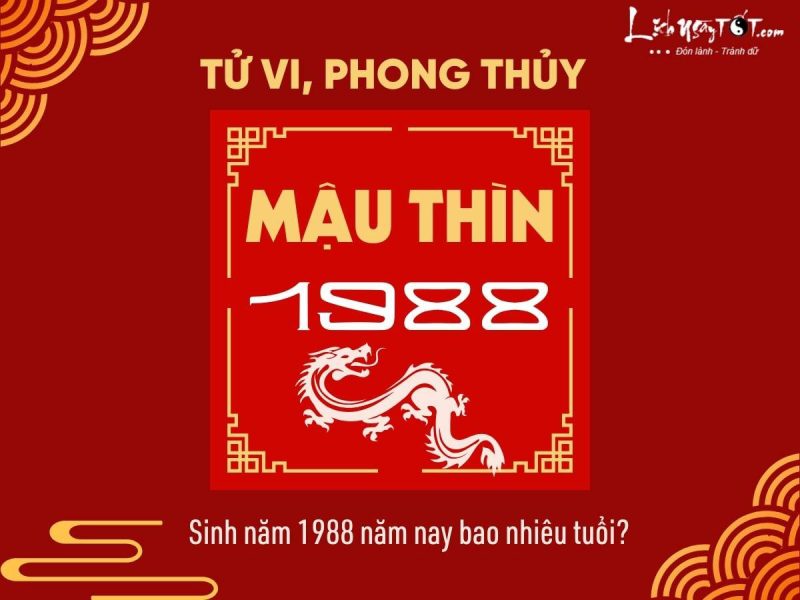 Hình ảnh một cây cổ thụ vững chãi, lá xanh tươi, tượng trưng cho mệnh Đại Lâm Mộc của người sinh năm 1988.