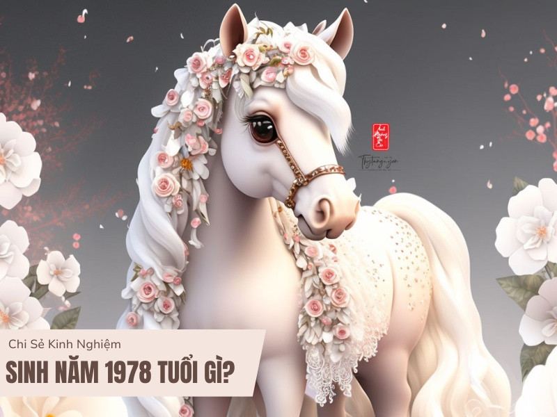 Hình ảnh một người đàn ông tuổi trung niên nhìn ra xa suy tư về vận mệnh