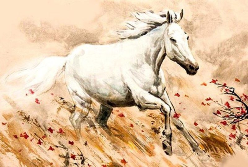 Hình ảnh ngựa phi nước đại biểu trưng cho người tuổi Ngựa năng động và tự do