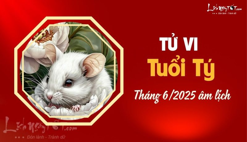 Hình ảnh người tuổi Tý đối mặt với những thách thức trong tử vi tháng 6 âm lịch.