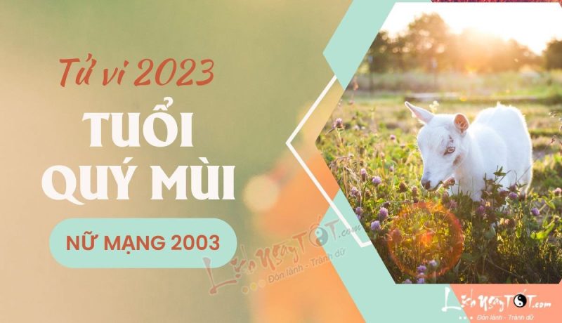 Hình ảnh tổng quan tử vi tuổi Quý Mùi 2003 nữ mạng