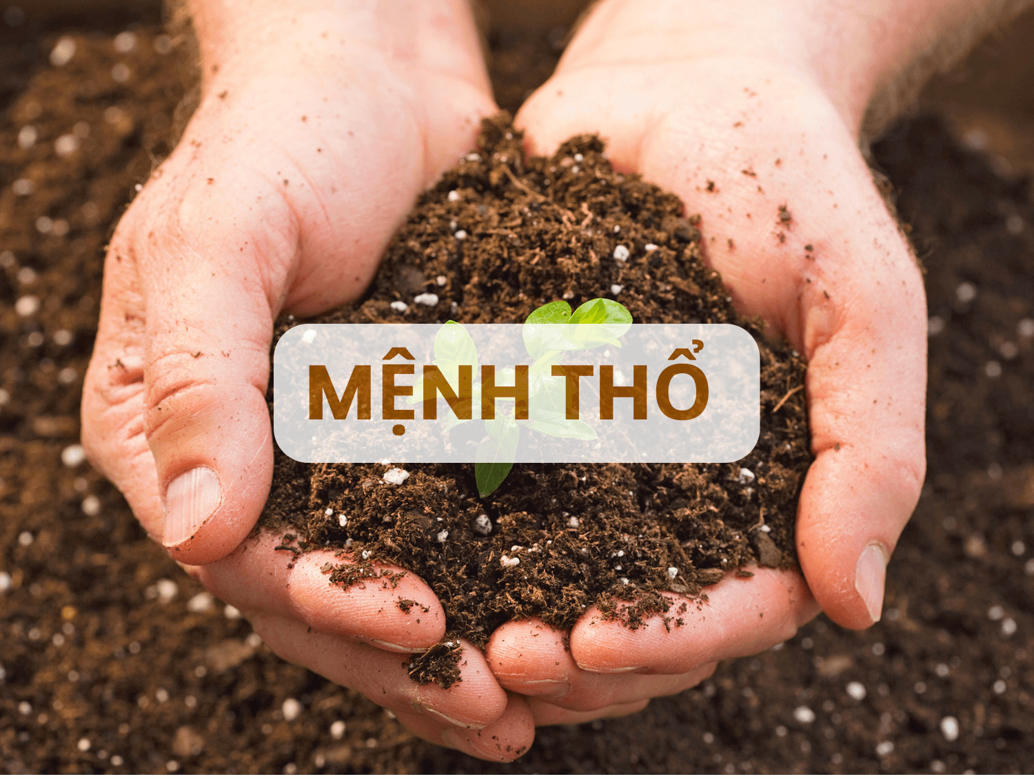 Hình ảnh tượng trưng người sinh năm 1961 mệnh Thổ Bích Thượng Thổ