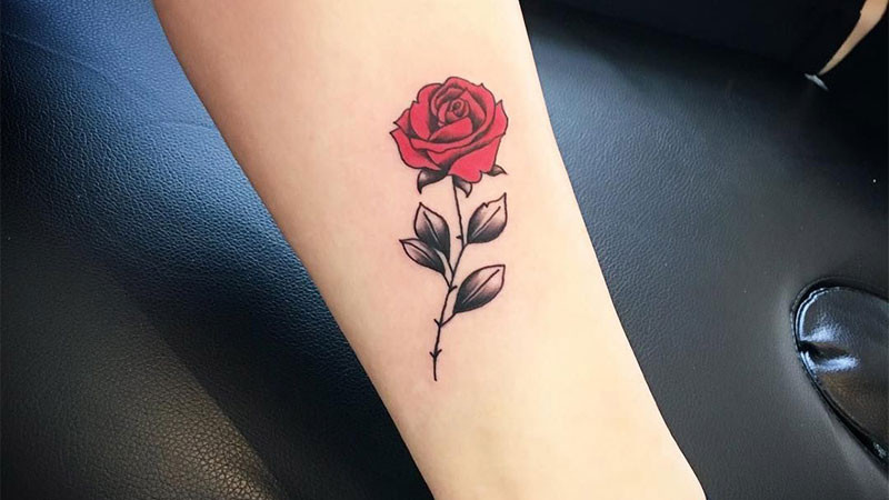Hình xăm hoa hồng đỏ tượng trưng cho tình yêu mãnh liệt, sắc đẹp và sự may mắn, hợp với mệnh Hỏa và Thổ