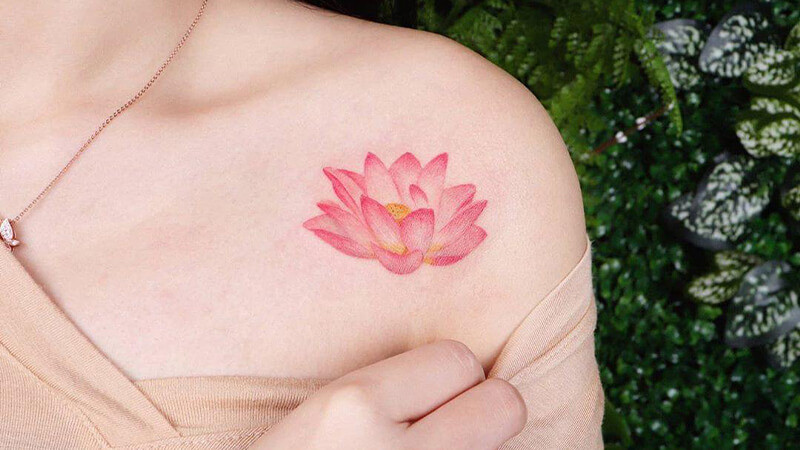 Hình xăm hoa sen hồng trên bắp tay, biểu tượng của sự thuần khiết