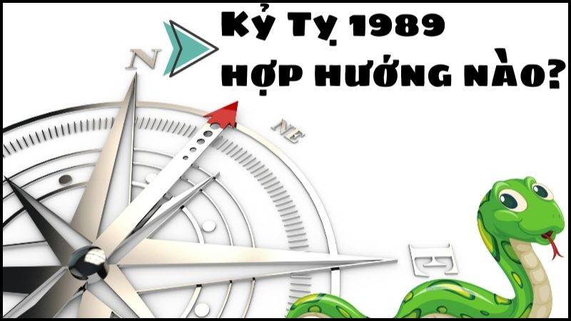 hướng hợp 1989