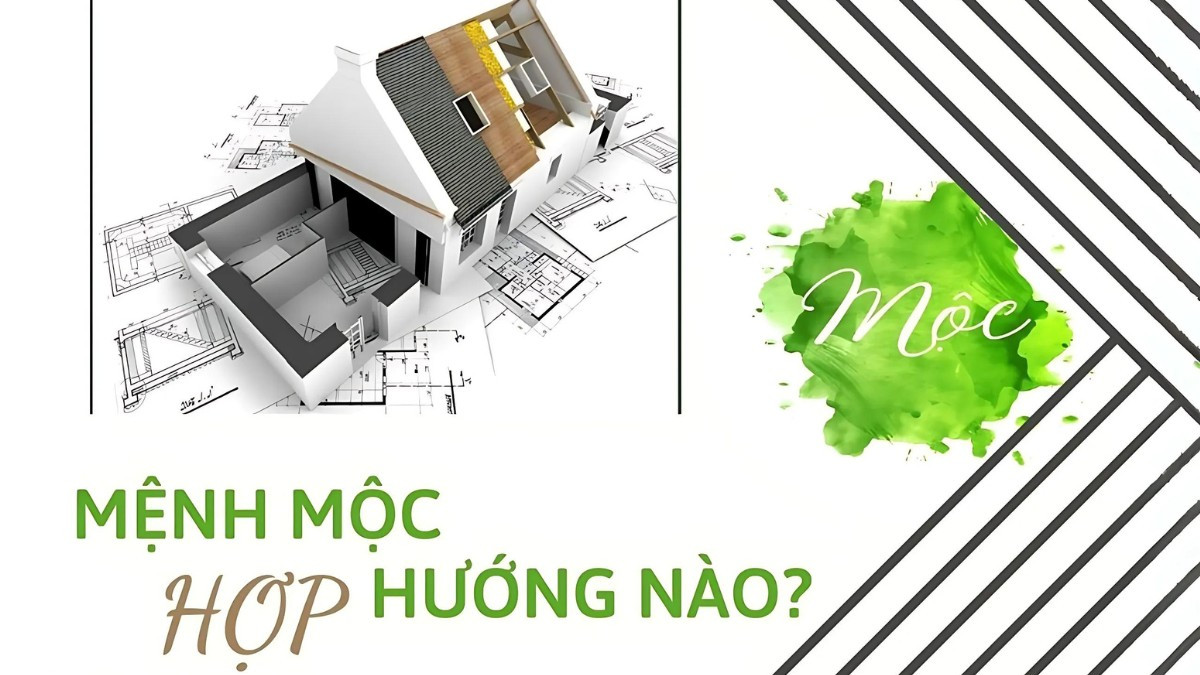 Hướng nhà tốt xấu cho người mệnh Mộc theo phong thủy