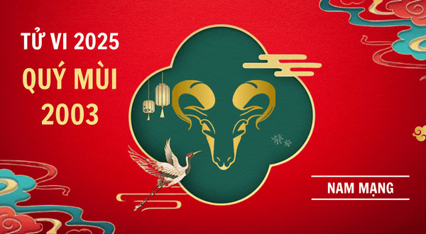 Lá số tử vi chi tiết cho nam mạng tuổi Quý Mùi 2003 năm Ất Tỵ 2025