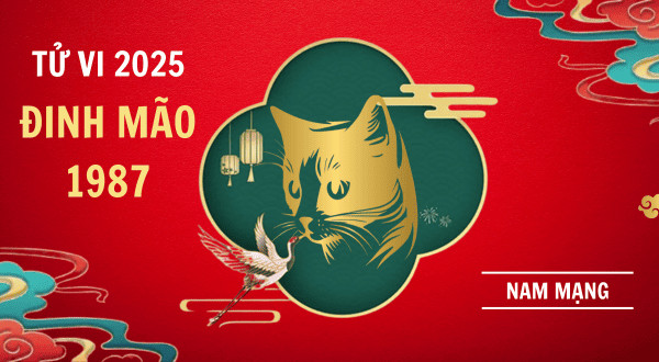 Lá số tử vi tuổi 1987 nam mạng năm 2025 chi tiết các cung