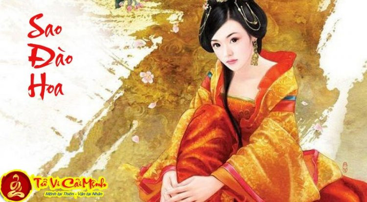 Lá số tử vi với các cung sao, thể hiện vị trí sao đào hoa trong tử vi