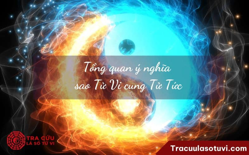 Lá số tử vi với cung Tử Tức nổi bật