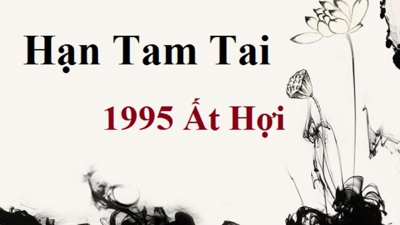 Lịch trình các năm Tam Tai của tuổi Ất Hợi sinh năm 1995, giúp bạn chủ động hóa giải vận hạn
