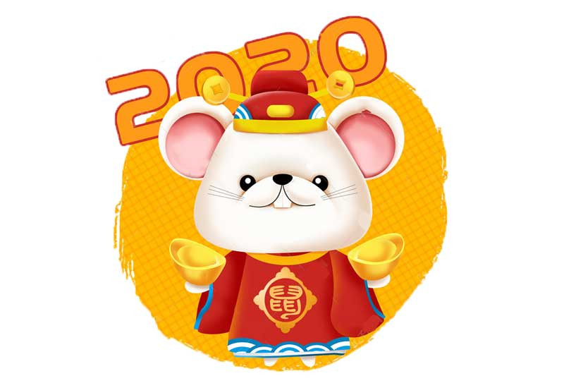 Lời khuyên về sức khỏe và an toàn giao thông cho nữ mạng tuổi Tý trong năm Canh Tý 2020, nhấn mạnh sự cẩn trọng.