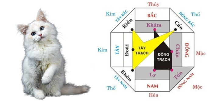 Lựa chọn hướng nhà phù hợp giúp gia chủ Kỷ Mão 1999 thay đổi vận khí, thuận lợi trong cuộc sống