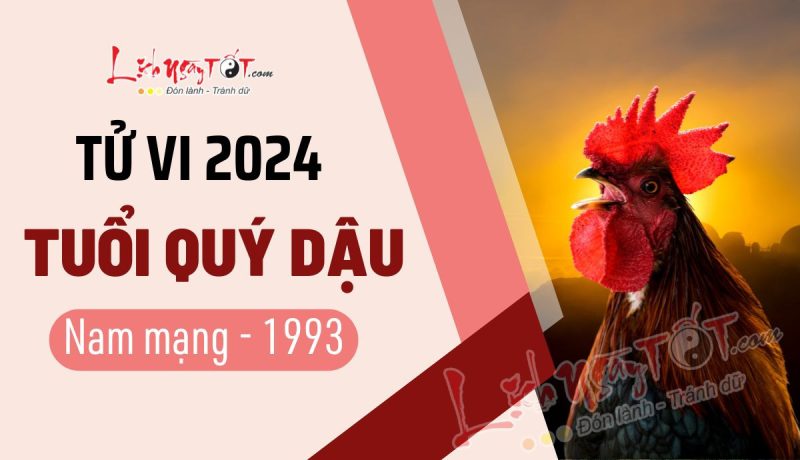 Luận giải tử vi Quý Dậu 1993 nam mạng năm 2024