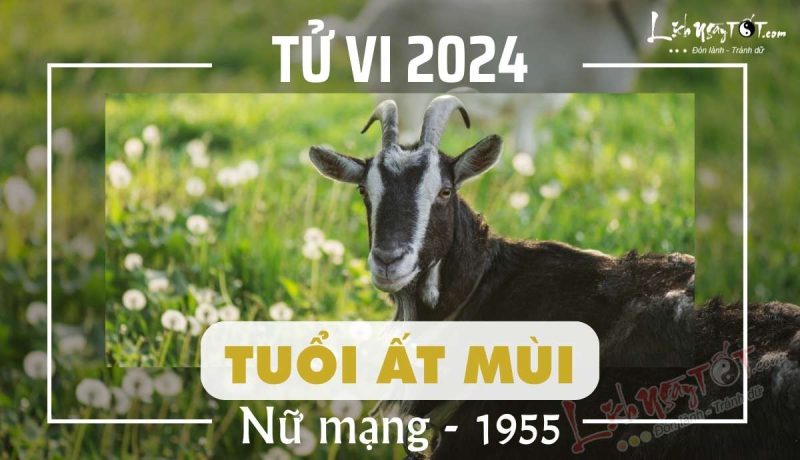 Luận giải tử vi tuổi Ất Mùi 1955 nữ mạng năm 2024