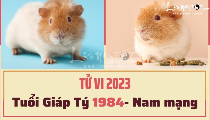 Luận giải tử vi tuổi Tý 1984 nam mạng năm 2023