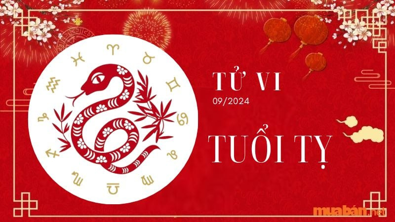 Luận giải tử vi tuổi Tý tháng 9 năm 2024