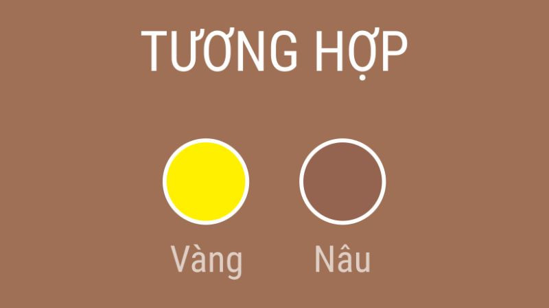 Màu sắc hợp với người sinh năm Ất Sửu 1985
