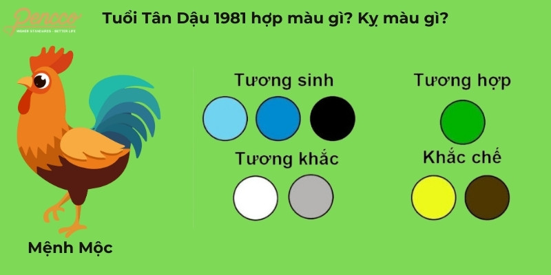 Màu sắc mang lại may mắn cho Tân Dậu 1981 năm 2025