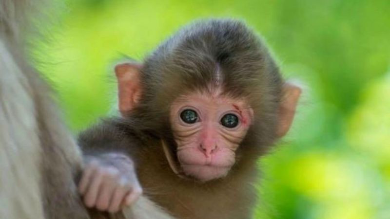Màu sắc may mắn cho người mệnh Kim sinh năm 1992