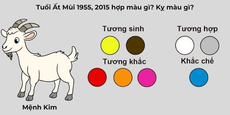 Màu sắc nên chọn và cần tránh cho tuổi Ất Mùi 1955, 2015 để hanh thông vận khí