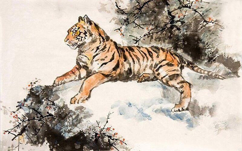 Màu sắc phong thủy hợp với người sinh năm 1998 Mậu Dần mệnh Thổ.