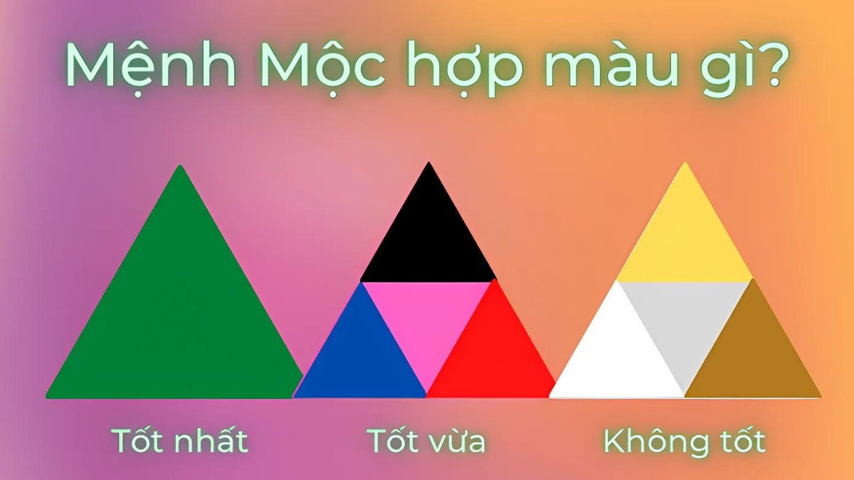 Màu sắc phong thủy phù hợp và kiêng kỵ cho mệnh Mộc