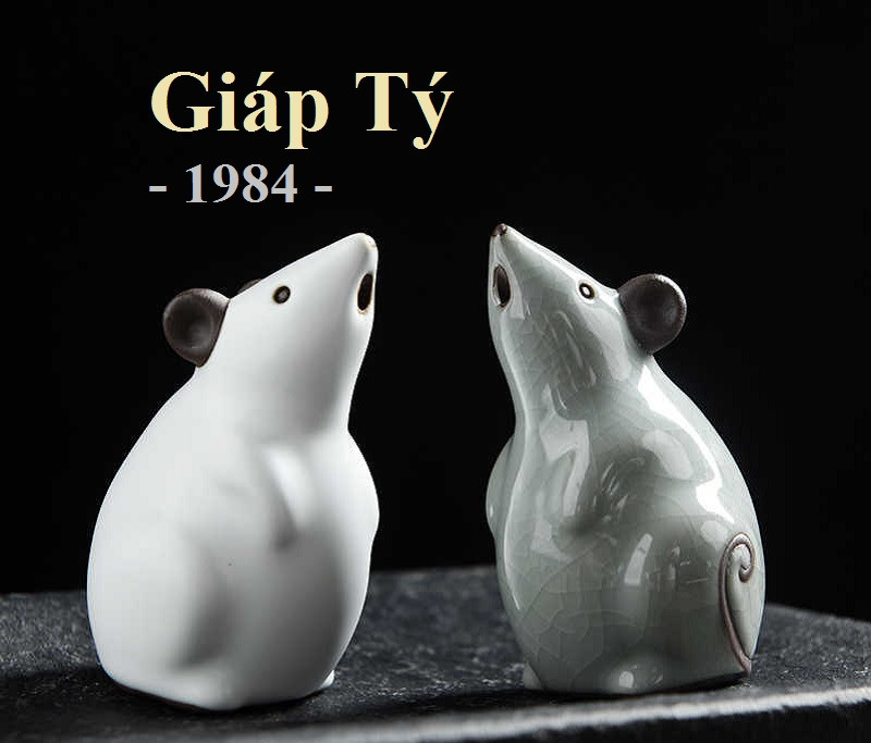 Màu sắc tương khắc cho Giáp Tý 1984: Đỏ, Cam, Hồng, Tím